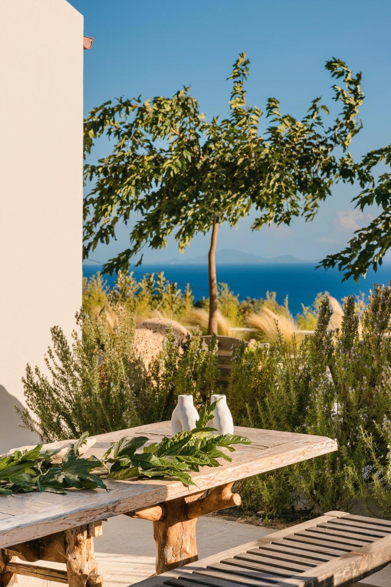 Spathes Suites Kefalonia - Luxury Suites Ratzaklion Exterior photo