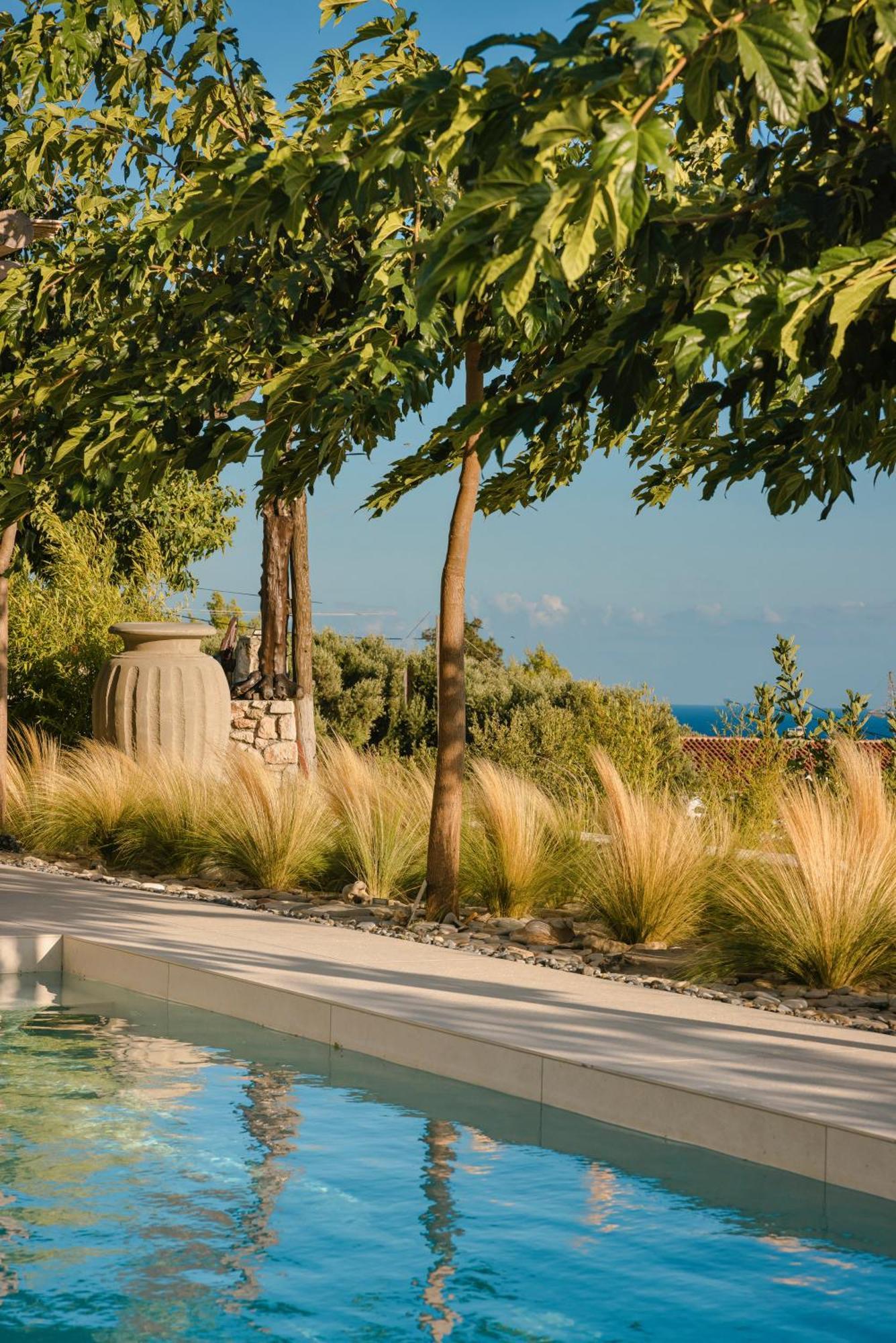 Spathes Suites Kefalonia - Luxury Suites Ratzaklion Exterior photo